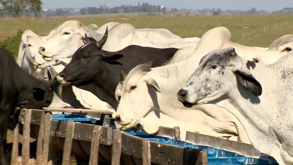 Com a flexibilização do isolamento, expectativa é que o consumo de carne bovina ganhe ritmo nos próximos dias