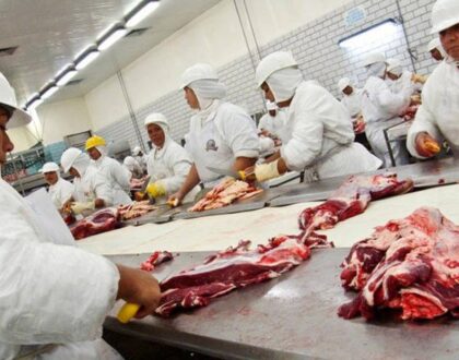 Demanda por carne bovina pode aquecer neste 2° semestre, diz Safras & Mercado